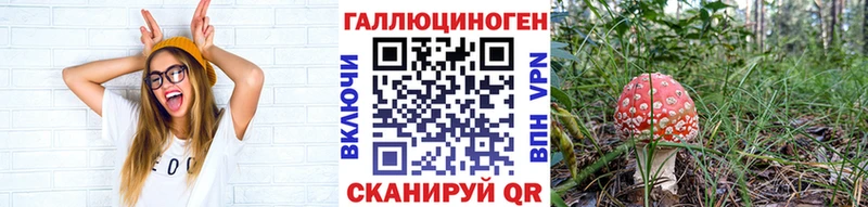 Купить закладки Кольчугино Галлюциногенные грибы мухоморы